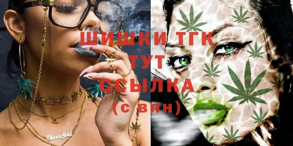 spice Белокуриха