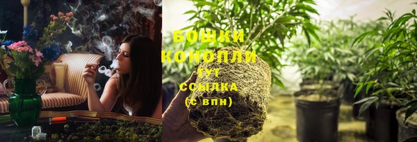 spice Белокуриха